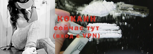 спайс Корсаков