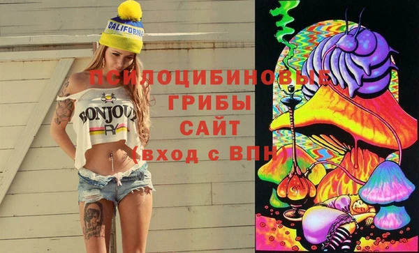 трава Краснослободск