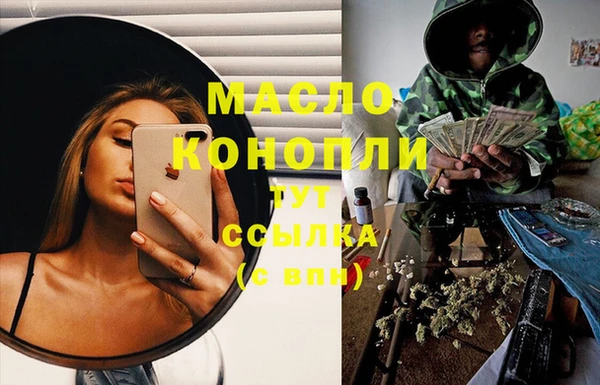 спайс Корсаков
