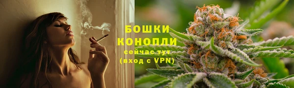 трава Краснослободск