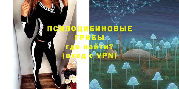 спайс Корсаков