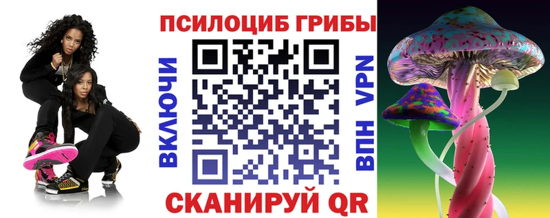 купить наркоту  Суровикино  Псилоцибиновые грибы MAGIC MUSHROOMS 